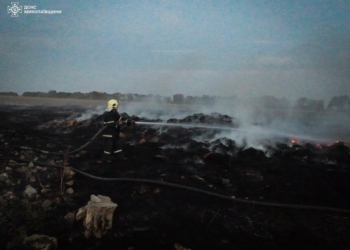 На Миколаївщині 4 пожежі з 27 сталися через обстріли (ФОТО)