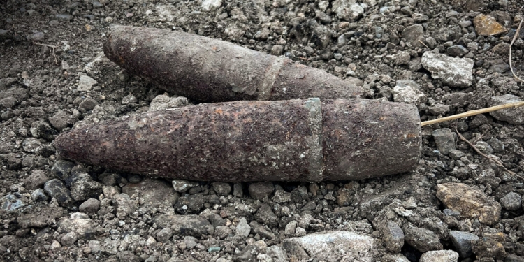 Два артилерійські снаряди часів Другої світової війни знищили піротехніки на Миколаївщині (ФОТО)