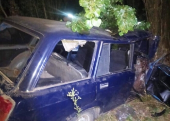 На Миколаївщині ще в одному ДТП одна людина загинула, а троє, зокрема одна дитина, травмувались (ФОТО)