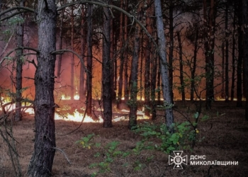 На Миколаївщині за добу 18 пожеж, дрон зніс стіну будинку (ФОТО)