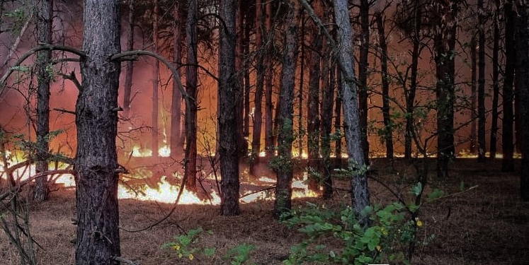 На Миколаївщині за добу 18 пожеж, дрон зніс стіну будинку (ФОТО)