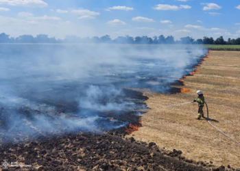 На Миколаївщині за добу вогнеборці ліквідували 39 пожеж: одна людина постраждала (ФОТО)
