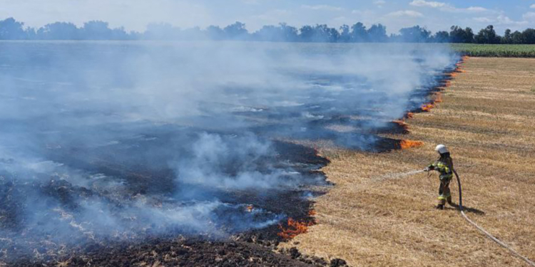 На Миколаївщині за добу вогнеборці ліквідували 39 пожеж: одна людина постраждала (ФОТО)