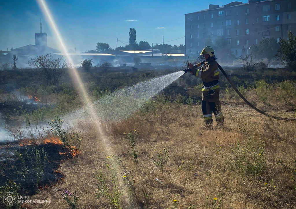 За добу на Миколаївщині вигоріло майже 35 га (ФОТО) 6