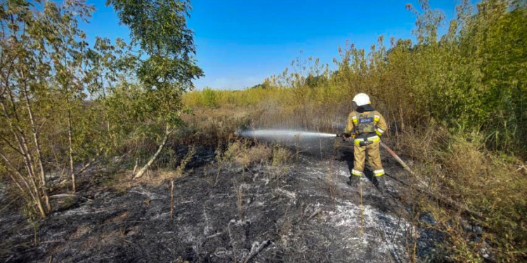 На Миколаївщині рятувальники ліквідували наслідки масованого ворожого обстрілу (ФОТО)