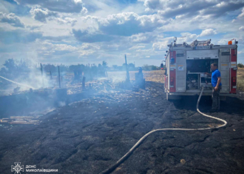 На Миколаївщині за добу вигоріло понад 24 га відкритих територій, але врятовано 8 будинків та 5 госпспоруд (ФОТО)