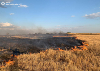 Пожежі на Миколаївщині за добу: в цілому вигоріло понад 35 га (ФОТО)