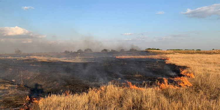 Пожежі на Миколаївщині за добу: в цілому вигоріло понад 35 га (ФОТО)