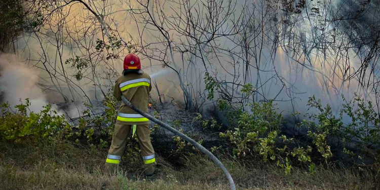 За добу на Миколаївщині вигоріло майже 35 га (ФОТО)