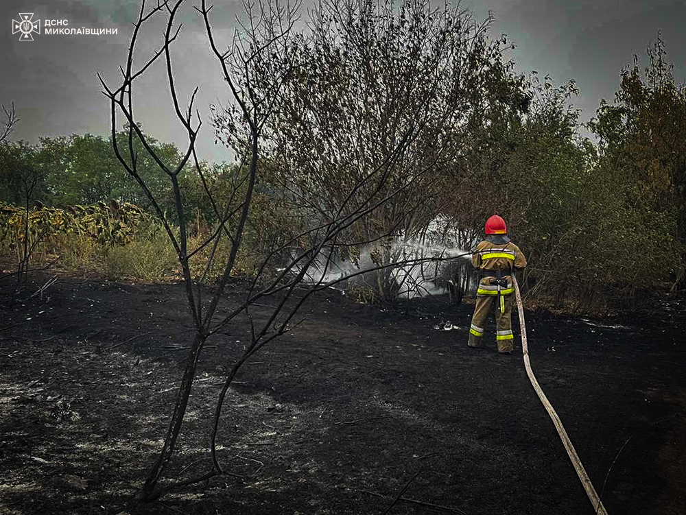 Дощ мало допоміг – на Миколаївщині за добу вигоріло понад 45 га відкритих територій (ФОТО) 14