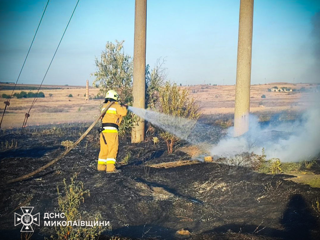 Комбайни, шини і 37,5 га відкритих територій: що вчора вогнеборці гасили на Миколаївщині (ФОТО) 16