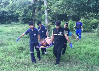 “Корова в Тайланді дала відсіч російському агресору”: поліція затримала голого росіянина, який, здається, хотів її зґвалтувати (ВIДЕО)