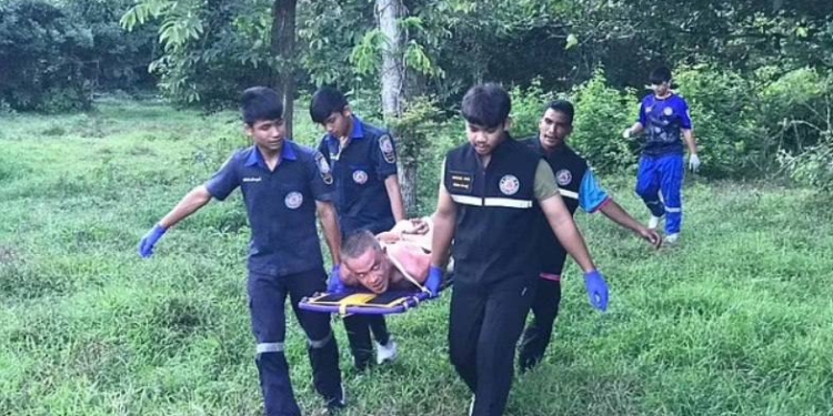 “Корова в Тайланді дала відсіч російському агресору”: поліція затримала голого росіянина, який, здається, хотів її зґвалтувати (ВIДЕО)