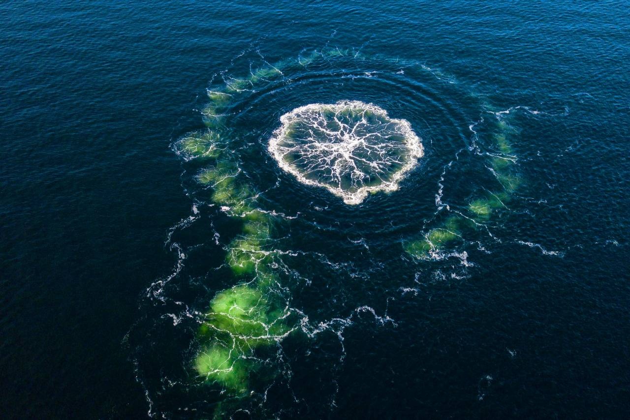 “Український слід” у підриві Північного потоку – частина спецоперації примусу України до миру