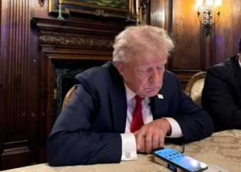 Павич павичу. Трамп дав інтерв’ю Маску