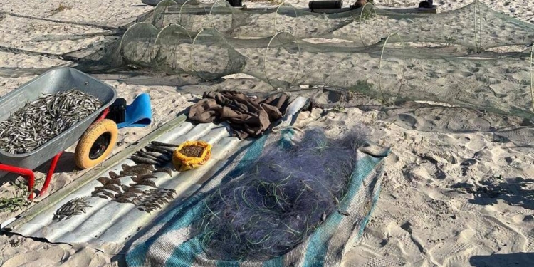 Майже 400 тис.грн. завданих збитків – на Миколаївщині поліцейські виявили браконьєрів з рибою та креветкою (ФОТО, ВІДЕО)