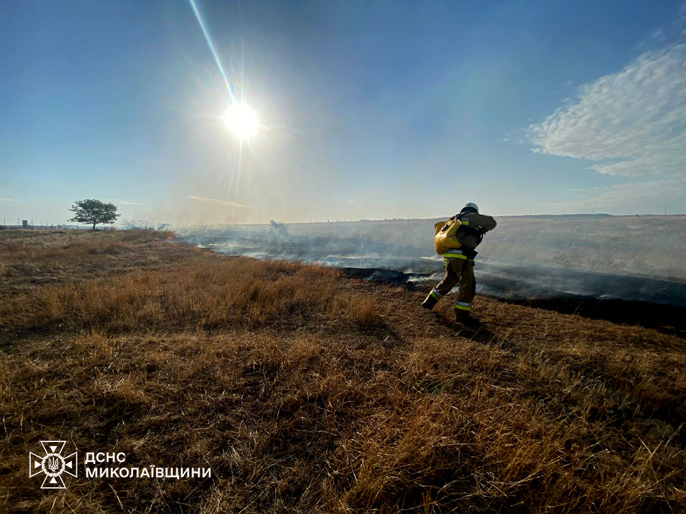 На Миколаївщині за добу вигоріло понад 17 га відкритих територій (ФОТО) 2