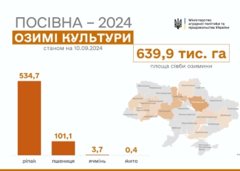 В Україні сіють озимий ріпак у 18-ти областях