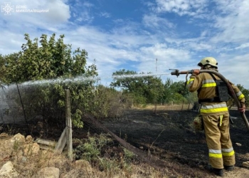 Під Миколаєвом пожежа сухостою перекинулась на будівлю і повністю її спалила (ФОТО)