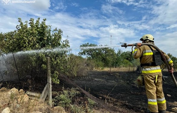Під Миколаєвом пожежа сухостою перекинулась на будівлю і повністю її спалила (ФОТО)