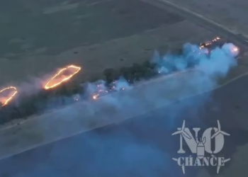 Ефектно, та чи ефективно? На Заході обговорюють “дрони-дракони” ЗСУ (ВІДЕО)