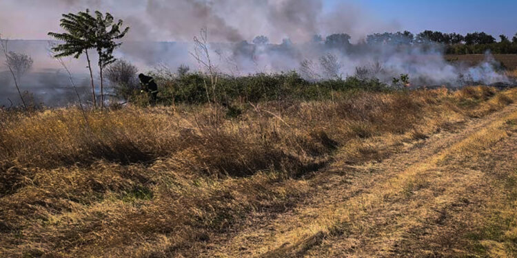 За минулу добу на Миколаївщині зареєстровано 25 пожеж – на одній з них загинула жінка (ФОТО)