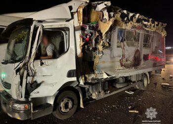 ДТП з двома вантажівками на Миколаївщині – одна перекинулась (ФОТО)