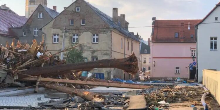 «У 2022 році – ви нам, а у 2024-му – ми вам». Як українці допомагають полякам, які постраждали від повені (ФОТО)