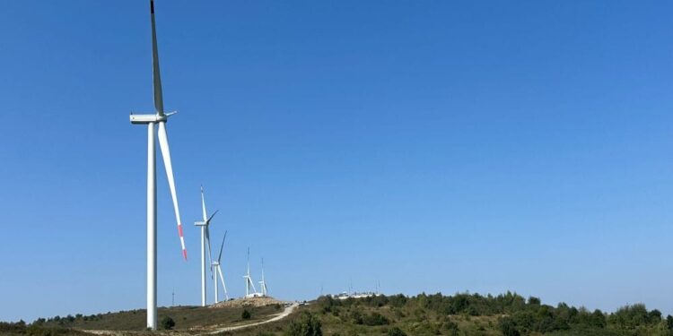 Найбільша чеська інвестиція з початку війни – вітряна електростанція на Львівщині (ВІДЕО)