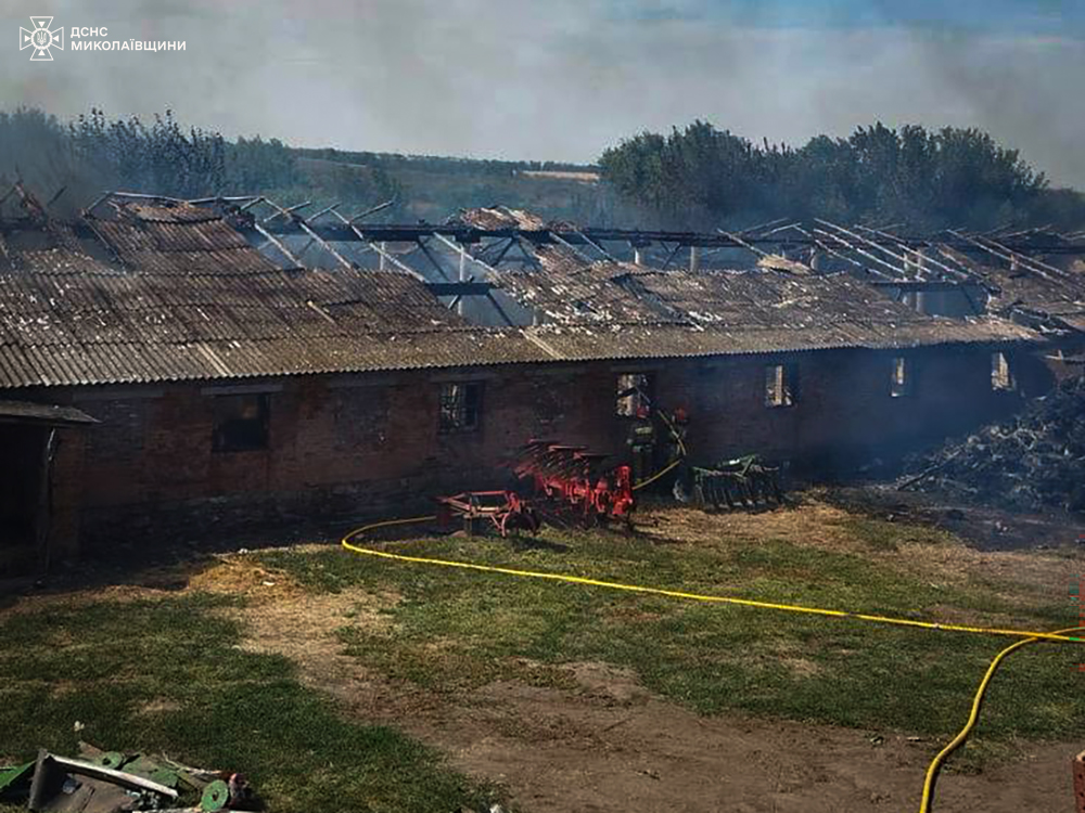 На одній з ферм Миколаївщини у вогні загинуло поголів’я свиней та курей (ФОТО) 2