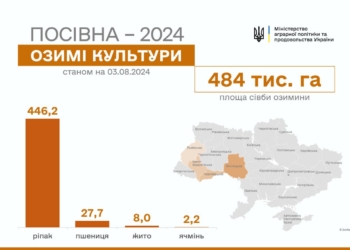 В Україні почали сіяти озимі культури