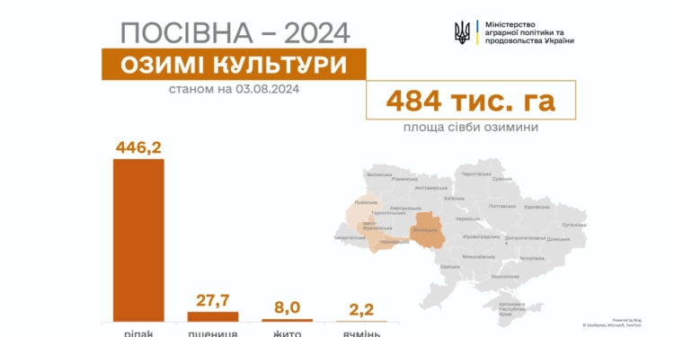 В Україні почали сіяти озимі культури