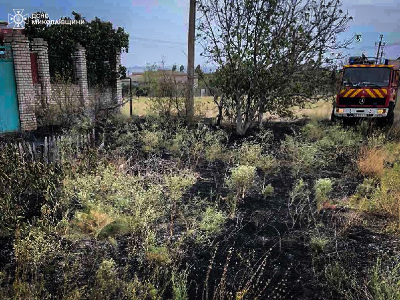 Попри зливи, які пройшли майже по всій області, на Миколаївщині вчора п'ять разів горів сухостій (ФОТО) 2