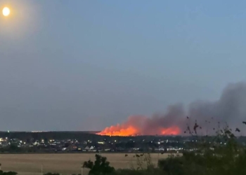 Пожежі охопили Брянську та Воронезьку області РФ (ВІДЕО)
