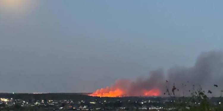 Пожежі охопили Брянську та Воронезьку області РФ (ВІДЕО)