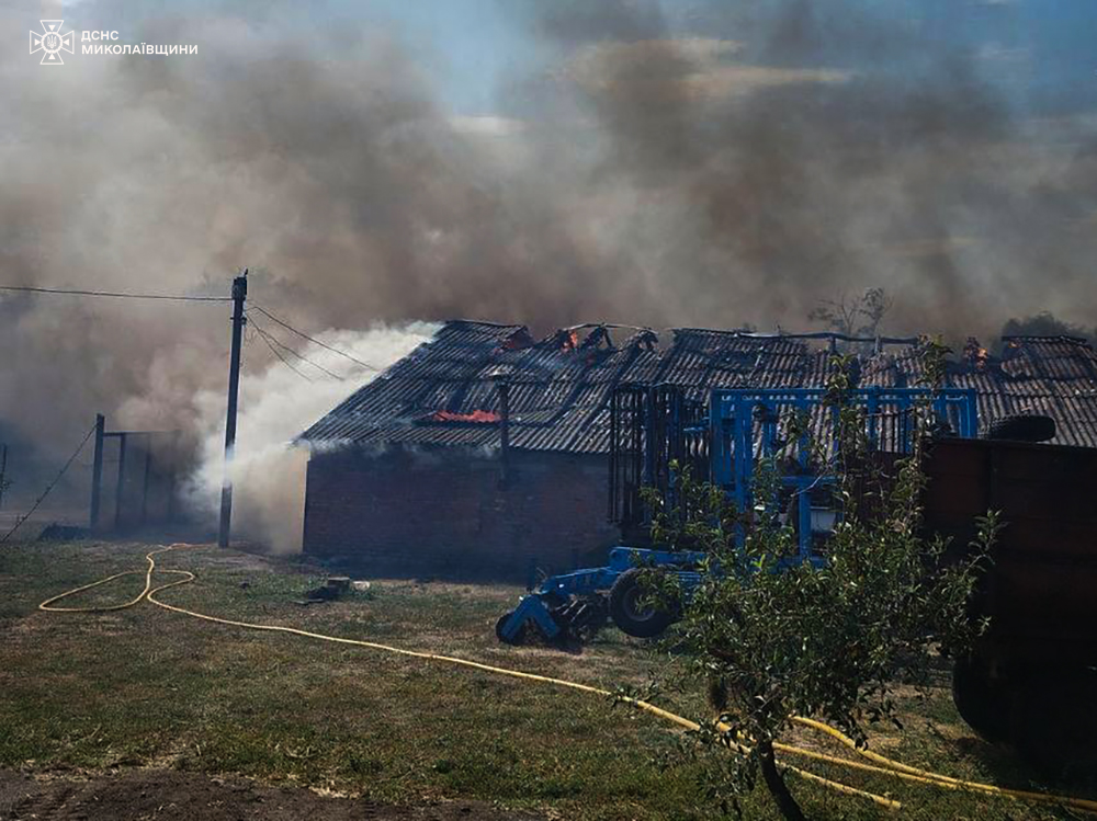 На одній з ферм Миколаївщини у вогні загинуло поголів’я свиней та курей (ФОТО) 4