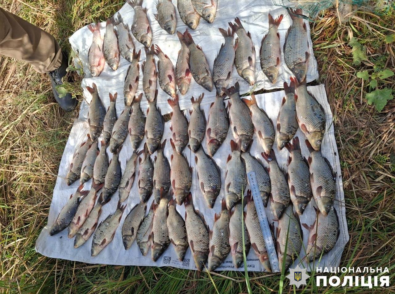 Ловив рибу забороненими сітками – на Миколаївщині правоохоронці викрили браконьєра (ФОТО)