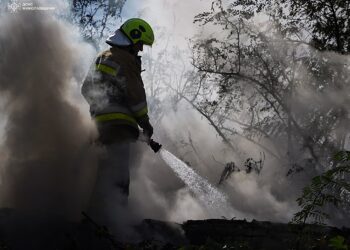 Пожежа на складі та сухостою – що вчора гасили у Миколаєві (ФОТО)