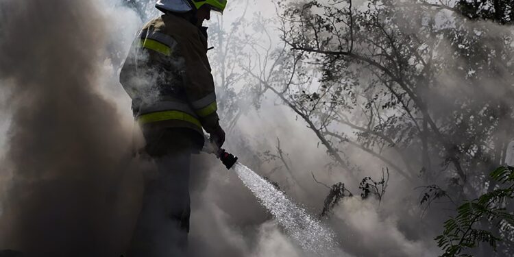 Пожежа на складі та сухостою – що вчора гасили у Миколаєві (ФОТО)