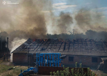 На одній з ферм Миколаївщини у вогні загинуло поголів’я свиней та курей (ФОТО)