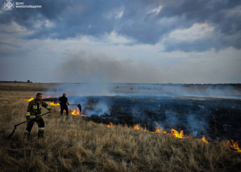 Попри зливи, які пройшли майже по всій області, на Миколаївщині вчора п’ять разів горів сухостій (ФОТО)