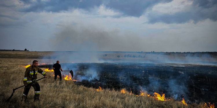 Попри зливи, які пройшли майже по всій області, на Миколаївщині вчора п’ять разів горів сухостій (ФОТО)