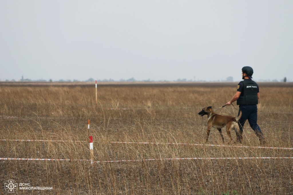 З 2022 року на Миколаївщині 24 людини загинули, підірвавшись на мінах, - як собаки-сапери допомагають запобігти трагедіям (ФОТО) 6