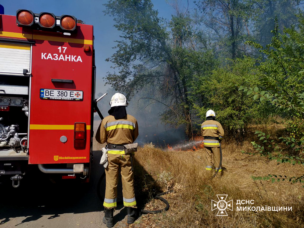 На Миколаївщині за добу вигоріло понад 17 га відкритих територій (ФОТО) 6