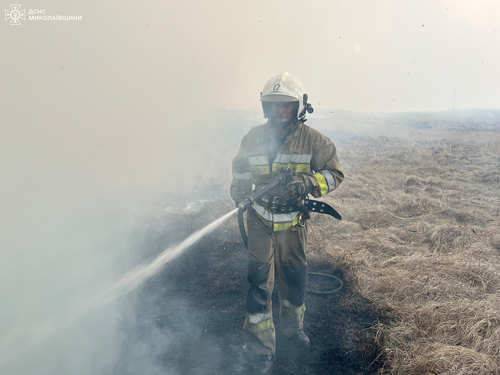 Напередодні свого професійного свята вогнеборці Миколаївщини за добу загасили 36 пожеж (ФОТО) 6