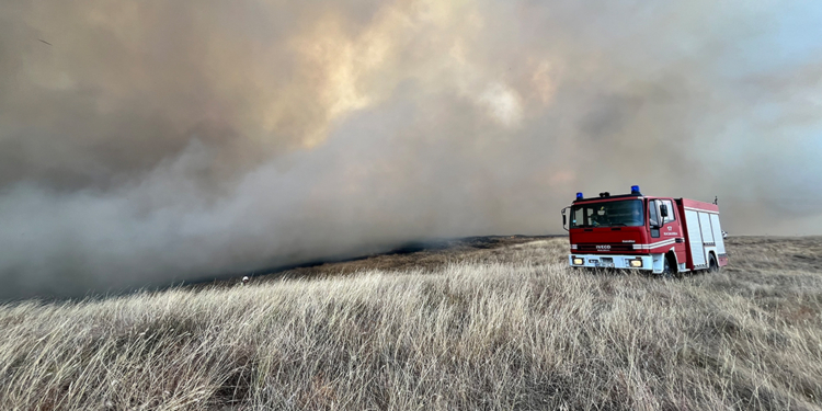 Напередодні свого професійного свята вогнеборці Миколаївщини за добу загасили 36 пожеж (ФОТО)