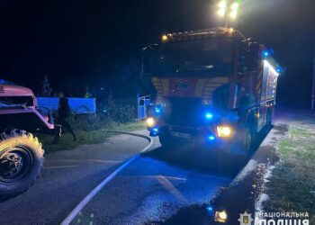 Під Миколаєвом син посварився з батьками, побив їх та підпалив будинки (ФОТО)