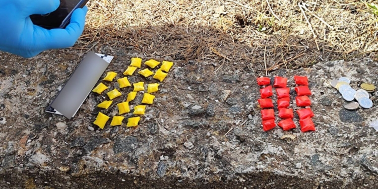 У Миколаєві патрульні затримали «закладників» із 55 згортками (ФОТО)