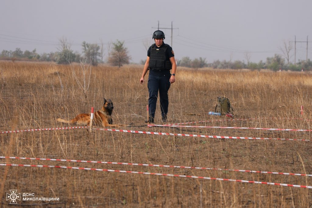 З 2022 року на Миколаївщині 24 людини загинули, підірвавшись на мінах, - як собаки-сапери допомагають запобігти трагедіям (ФОТО) 10