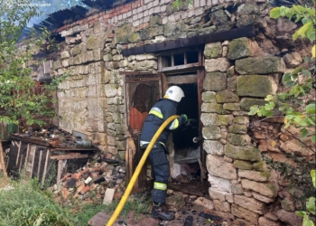 На Миколаївщині горіли будинки та чагарники (ФОТО)